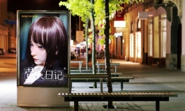 萤火日记165天城系列